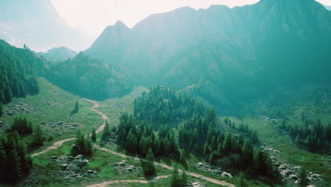 Aerial-top-view-of-summer-green-trees-in-forest-in-Swiss-Alps