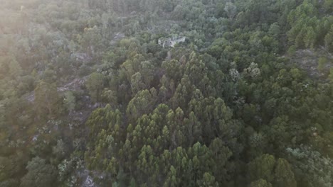 Aerial-establish-dolly-of-monasterio-santa-comba-de-naves,-ourense,-galicia,-spain