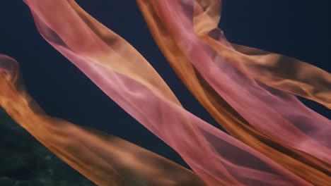abstract underwater fabric flow