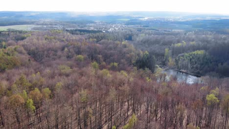 Amber-Mountain-Sanctuary--in-Lublewo-Gdańskie,-Poland