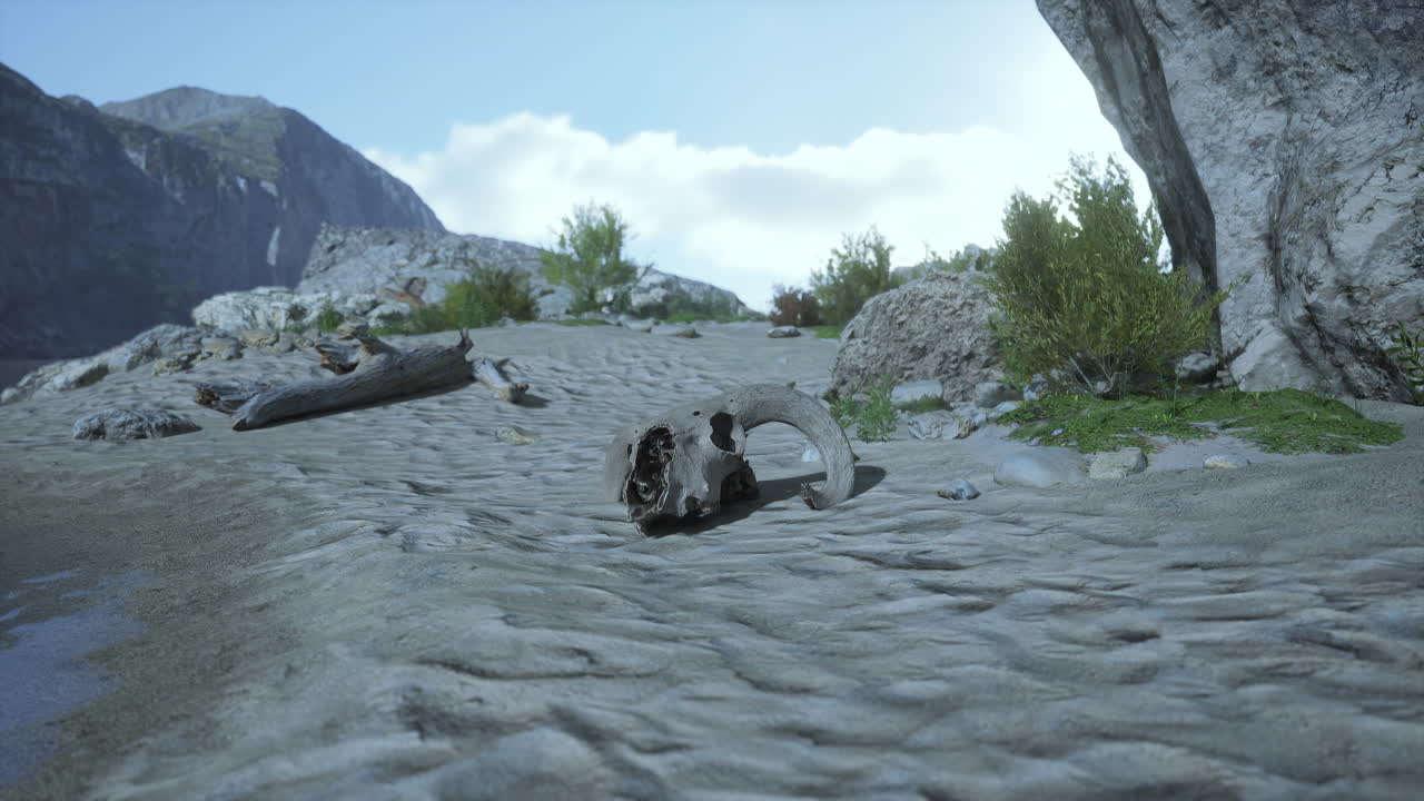 사막 풍경 에 있는 동물 의 두개골