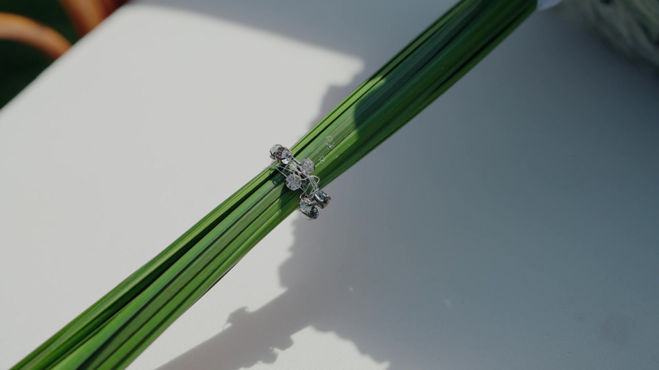 Chiusura di anello di diamante che tiene steli verdi in uno scatto di dettaglio elegante