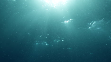 light playing through the ocean surface seen from below. underwater background vfx element.