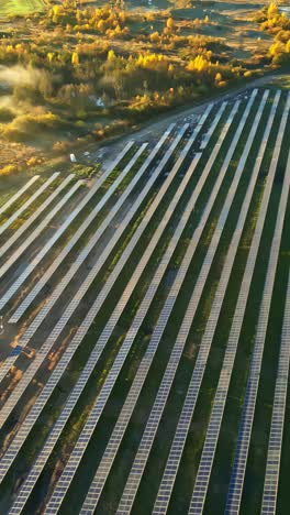 aerial drone overview of solar panel field in the warm morning sunlight