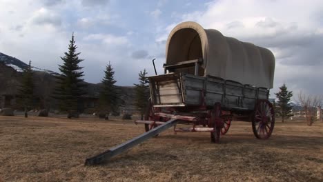 a covered wagon looks right at home against the backdrop of evergreens and prairie