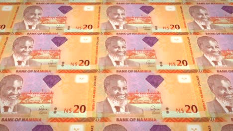 banknotes of twenty namibian dollar of namibia, cash money, loop