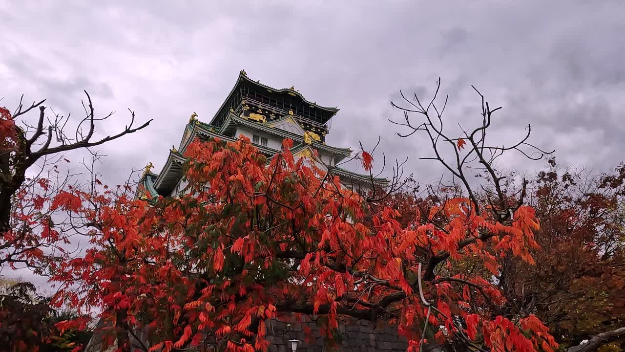 vistas al famoso castillo de osaka en japón