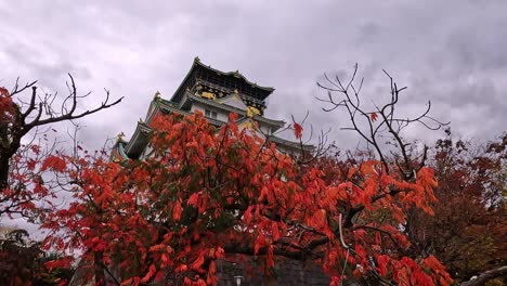 view onto the famous osaka castle in japan