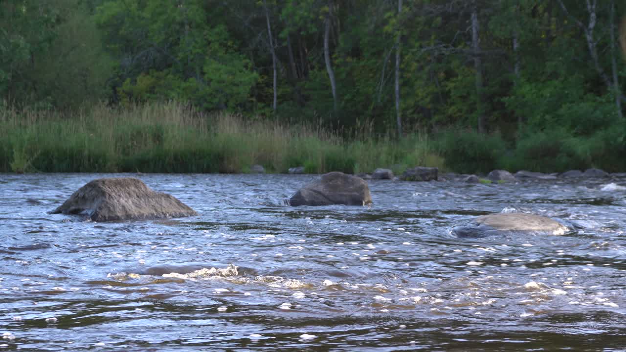 Un flusso d'acqua continuo con 3 grandi rocce al centro.
