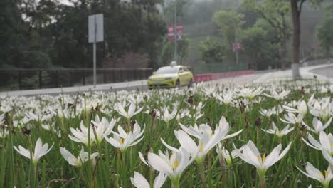 Picture-of-a-taxi-passing-by