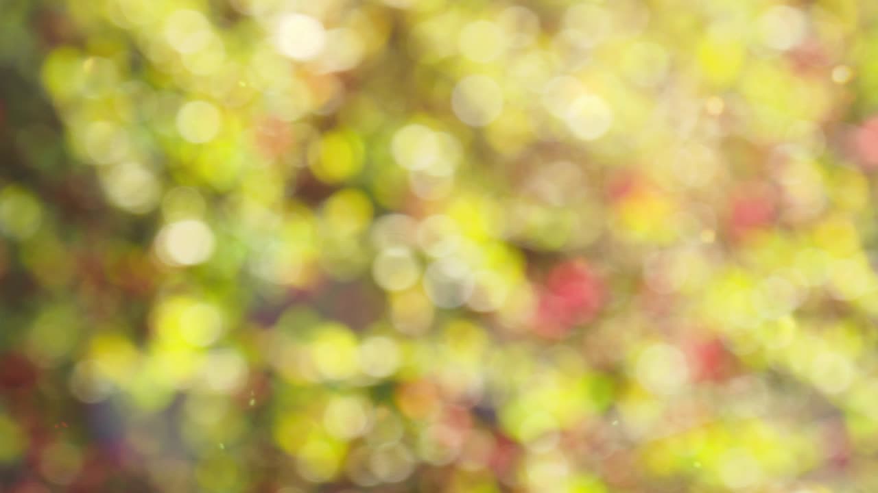 Bokeh와 추상가 배경