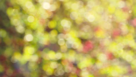 Fondo abstracto de otoño con bokeh