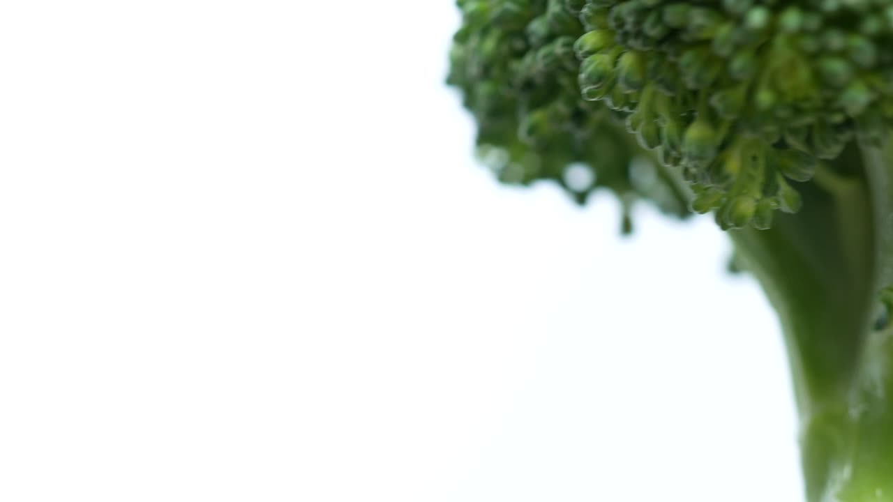 Broccoli turning on white background