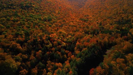 vista aérea de drones del impactante follaje de otoño de los árboles forestales en las montañas catskill - escénico al aire libre en el norte del estado de nueva york