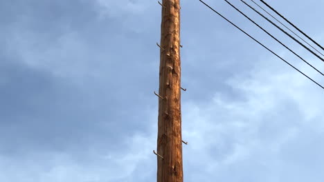 Old-wooden-electric-pole-in-brown-wood