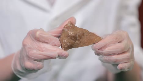 scientist examining a brown rock sample