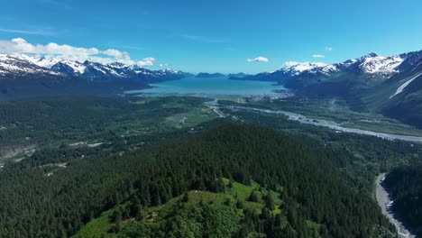 forested landscape with lake and snow mountains at background in alaska