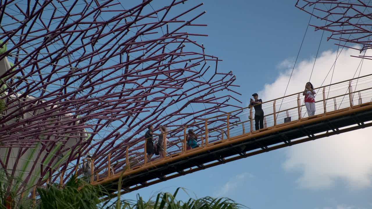 Garden by the Bay Skywalk with Tourists