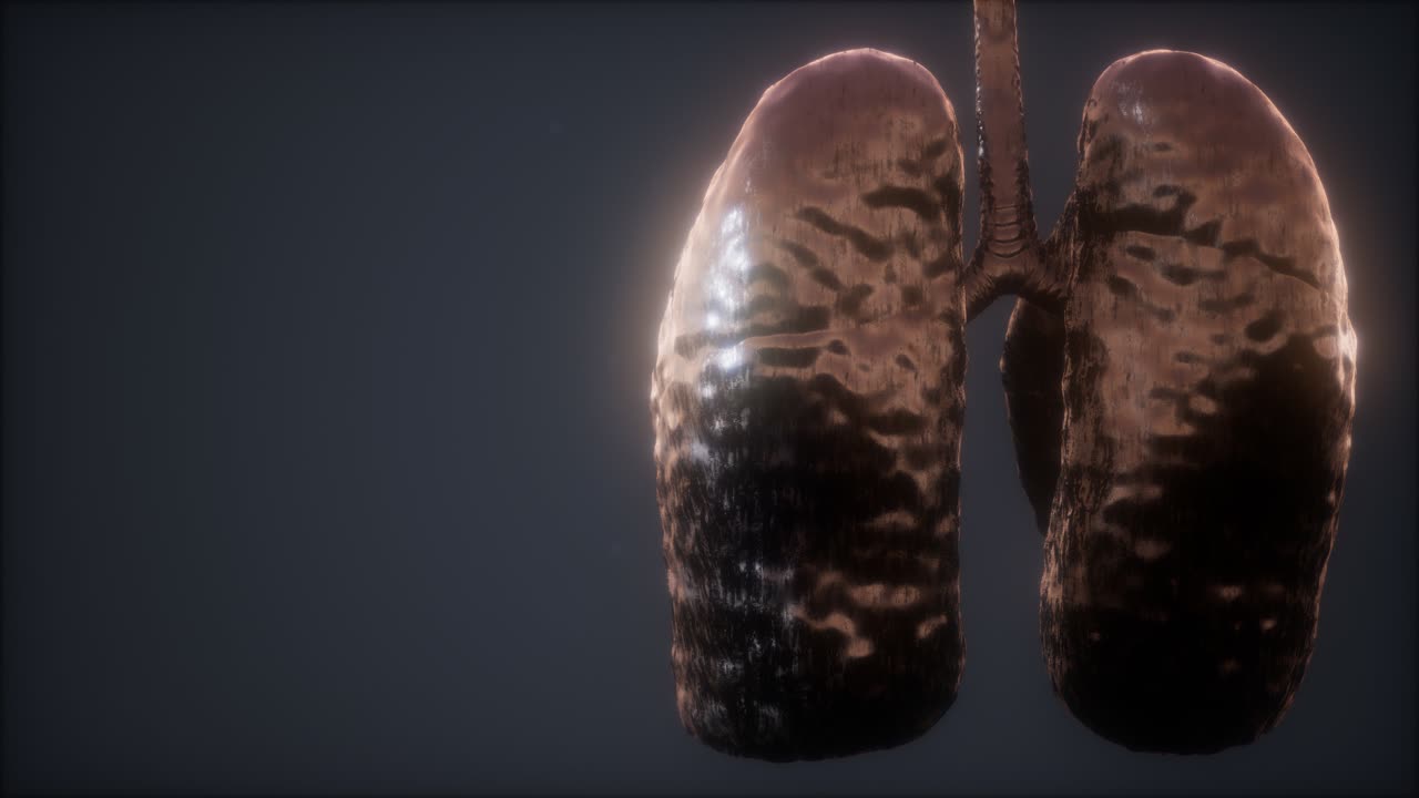 animación médicamente precisa del pulmón humano en bucle 3d
