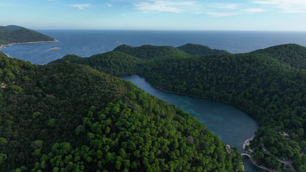 크로아티아의 나무와 푸른 바다와 함께 날씨에 mljet 섬의 도 드론