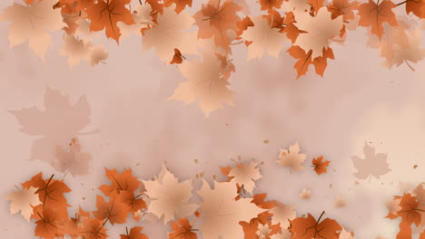 animation of yellow autumn maple leaves. looped gentle abstract background.