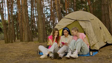 friends camping in the forest