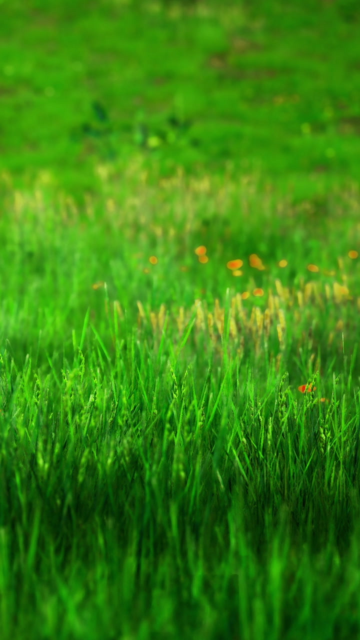 Vibrant green meadow filled with wildflowers swaying in the gentle breeze