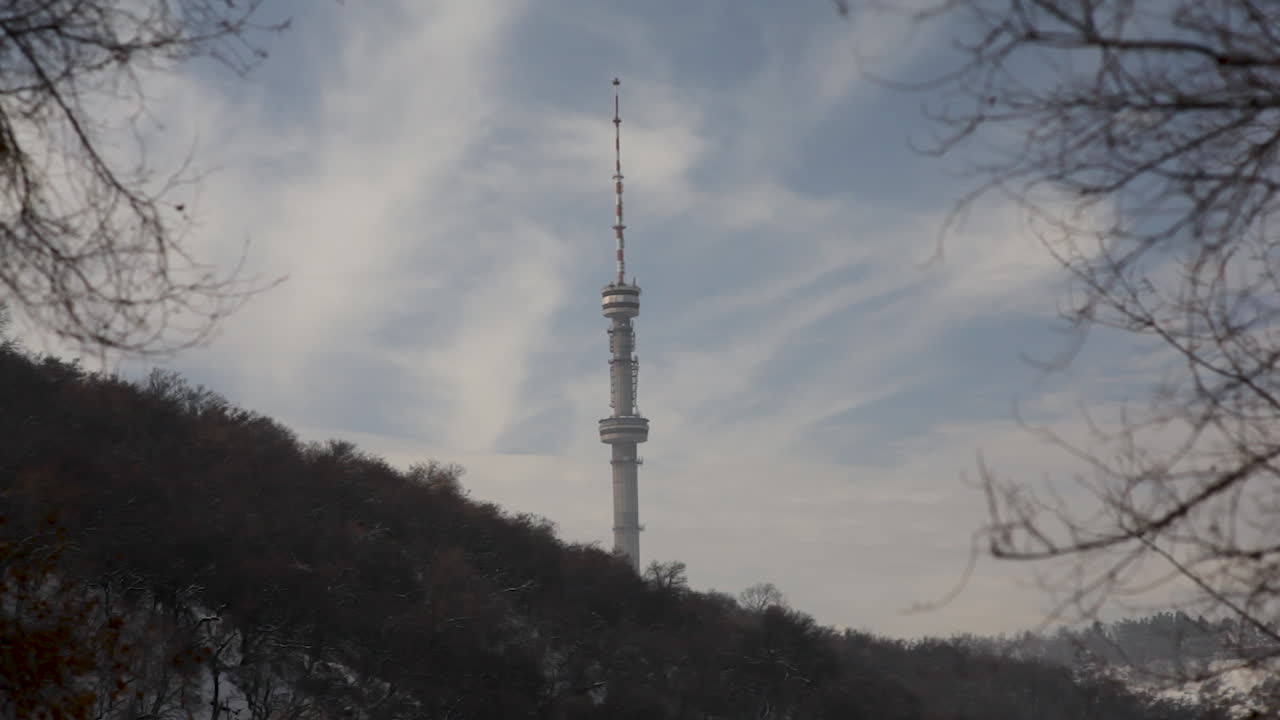 Telephone mast in the forest, Kazakhstan