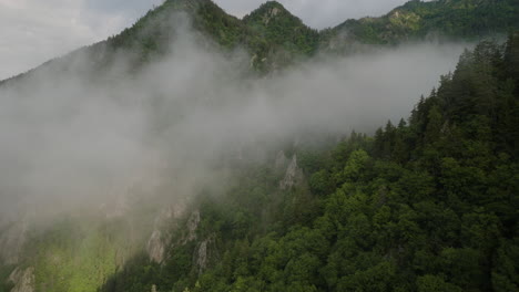 nubes brumosas en montañas rocosas con bosque denso en la reserva natural de borjomi, georgia