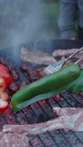 grilling meat and vegetables on a bbq