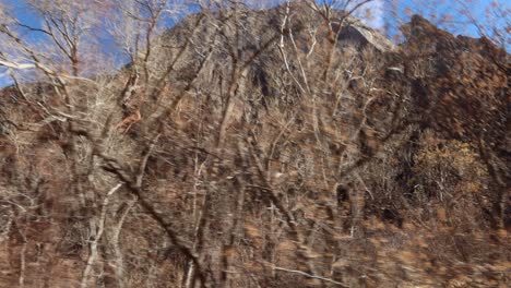 Zion-Nationalpark-Landschaft-In-Utah