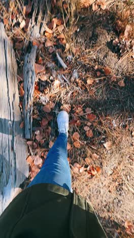 walking in the autumn forest