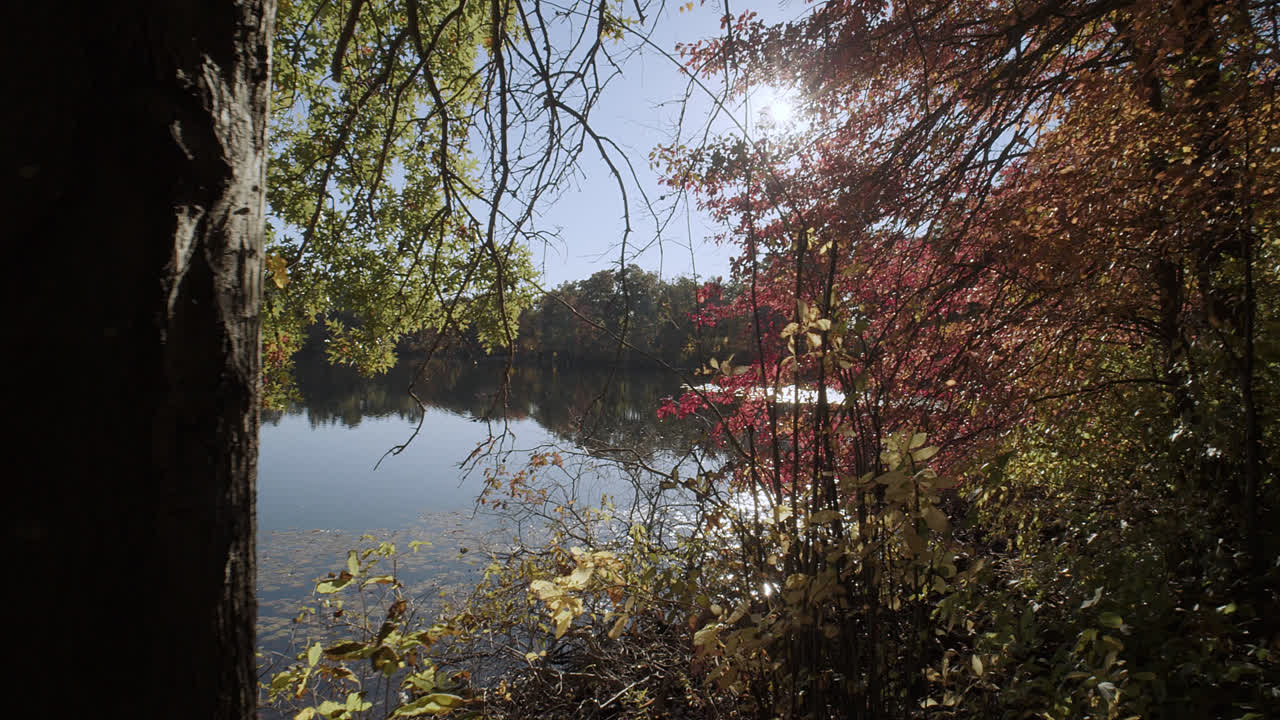 잔잔한 호수는 아름다운 렌즈 플레어와 함께 형형색색의 잎사귀 뒤에 태양이 빛날 때 이른 가을 나무 사이에 자리 잡고 있습니다.