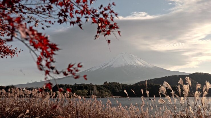 Splendido paesaggio autunnale del Monte Fuji con la cima innevata visibile accanto a vivaci foglie di acero rosso (Momiji) al Lago Kawaguchiko in Giappone