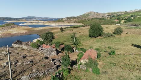 Horse-in-Nature-Aerial-View