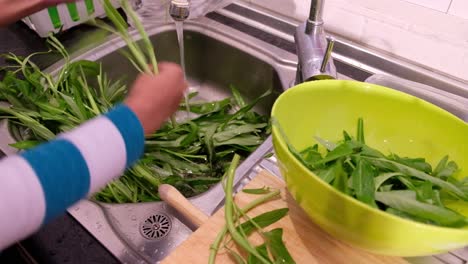 removing the leaves from kangkung to prepare a pinoy dish sinigang