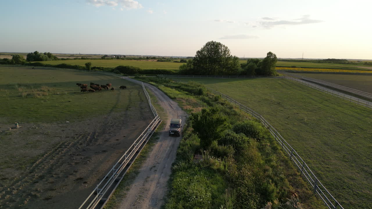 유럽 의 비손 농장 이 공중 에서 볼 수 있다