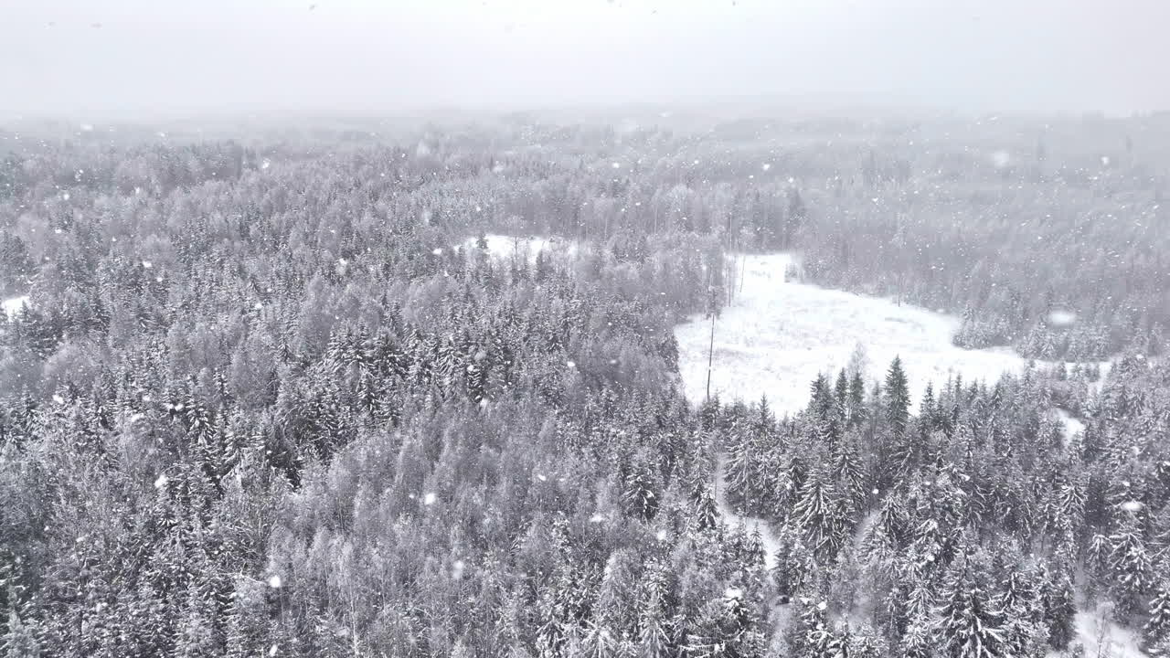 High drone shot with panning in a slight arc over a vast snowy forest. Falling snow, mist, and dense winter trees stretch into the distance