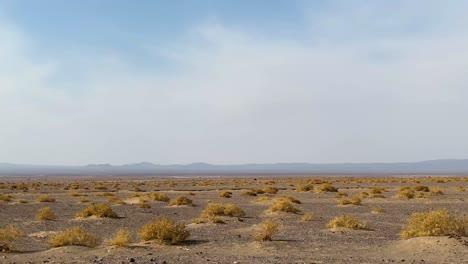 broll driving scene scenic landscape of desert in day time in iran wild animal plant vegetable grass dry bushes foliage grown in hot climate to fix the soil earth from flood important cover to camels