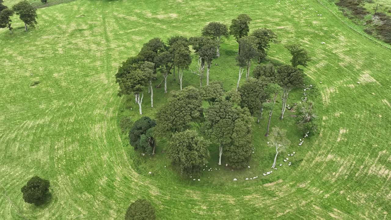 공중 드론은 코의 요정 요새를 둘러싸고 있습니다.