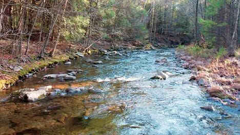 low aerial drone slow motion video footage of a mountain forest stream during fall with beautiful golden light