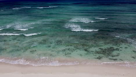 Aerial-drone-tilting-up-from-a-white-sand-beach-to-a-tropical-sea-in-Cozumel-island-in-Mexico