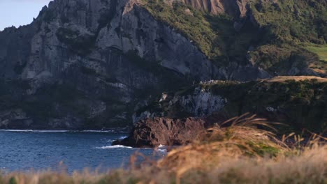 idílico paisaje natural pintoresco de océano azul y hierba en la costa