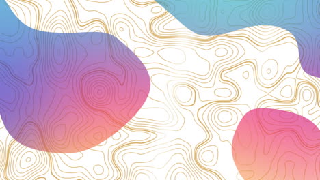 animation of gold lines with gradient liquid shapes