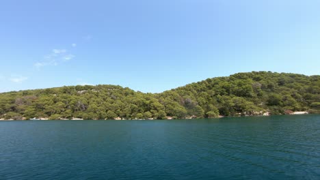 a view from a moving vessel over blue water and green pine tree forest