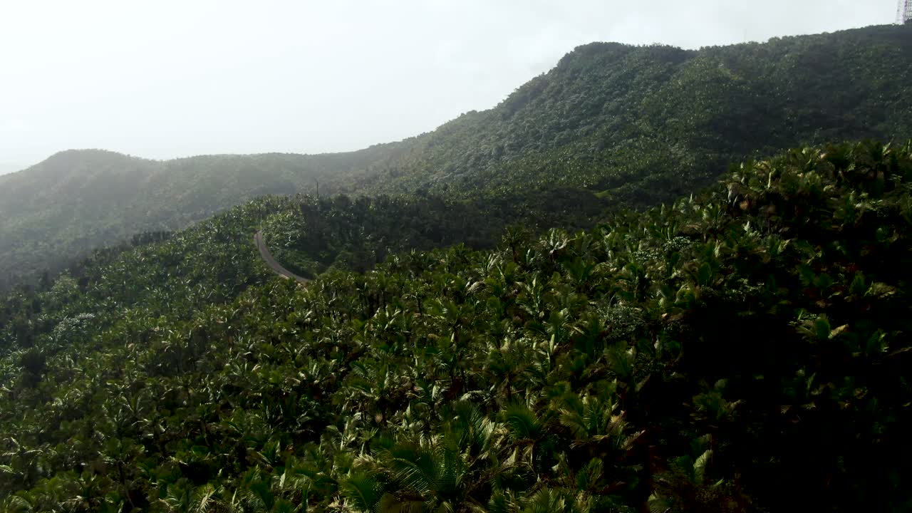 Aerial drone shot of lush vibrant rain forest landscape in Parque el Yunque