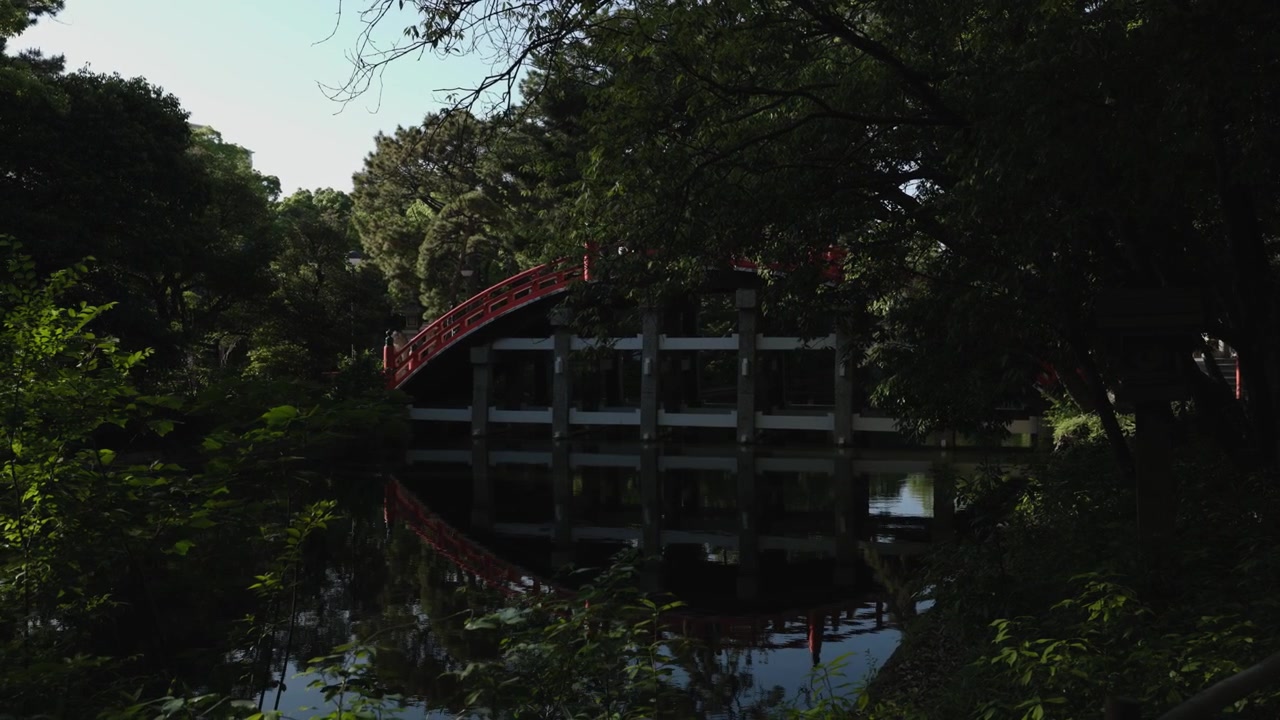 Ponte Sorihashi con vegetazione in primo piano, Osaka, Giappone