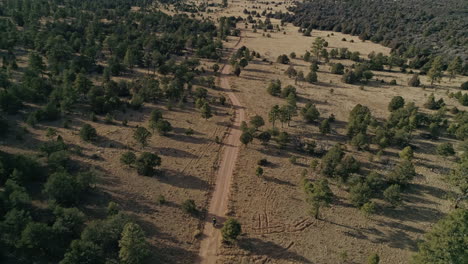 Antena-De-4k-Mientras-La-Motocicleta-Acelera-Por-Un-Camino-De-Tierra-Remoto-En-El-Bosque-Del-Desierto