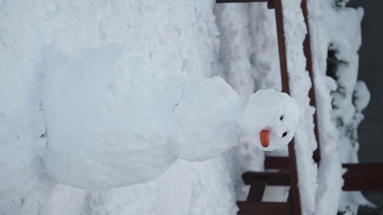 hombre de nieve lindo en la nieve