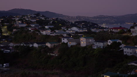 residential area of wellington at dusk, the capital of new zealand